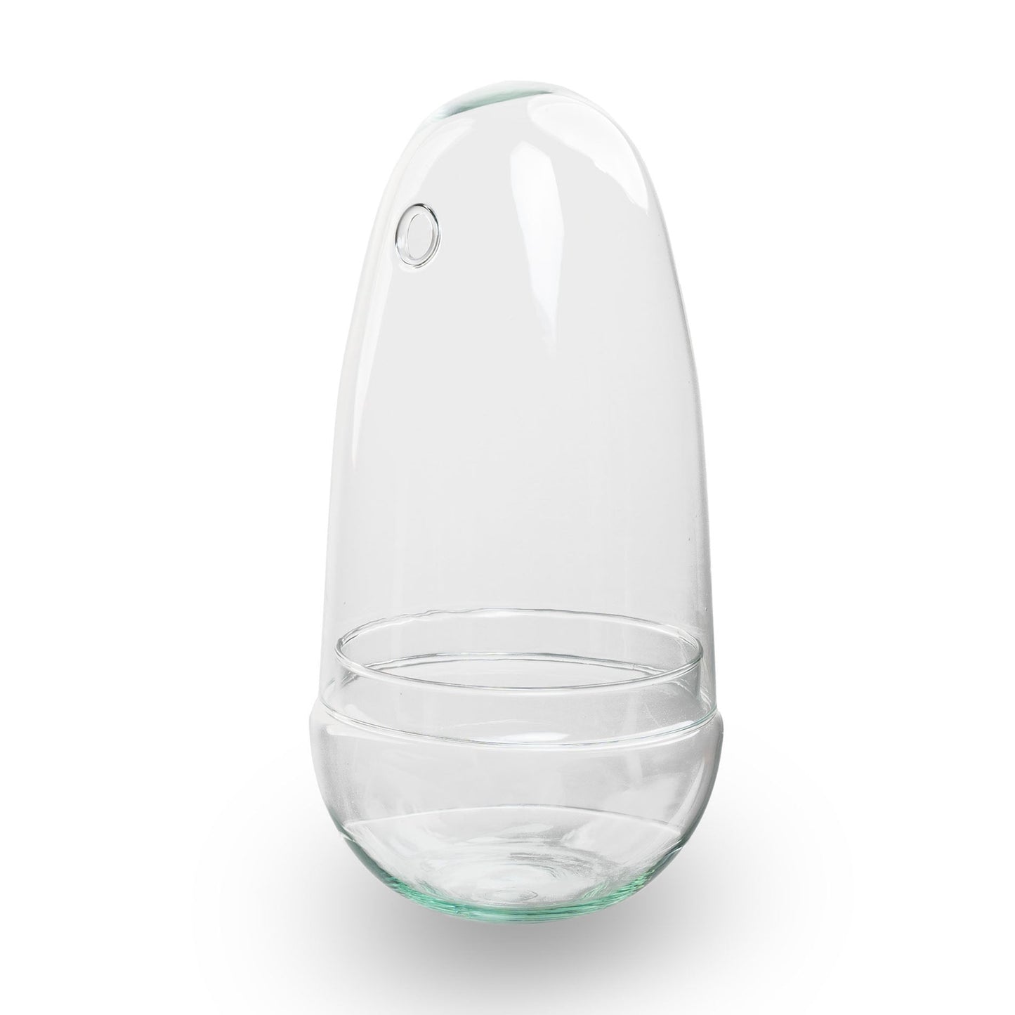 Egg - Glass Bulb - Bell Jar - Terrarium ↑ 25.5 Cm - Model: Egg
