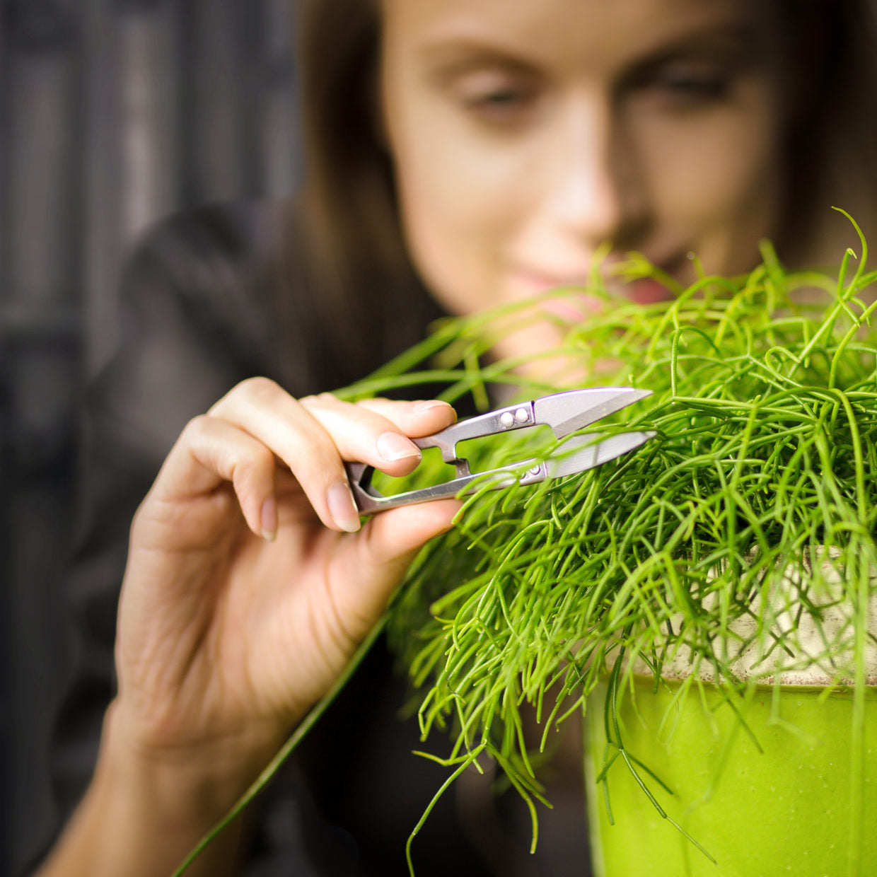 Stainless Steel Mini Pruner - ↑ 10,5 Cm