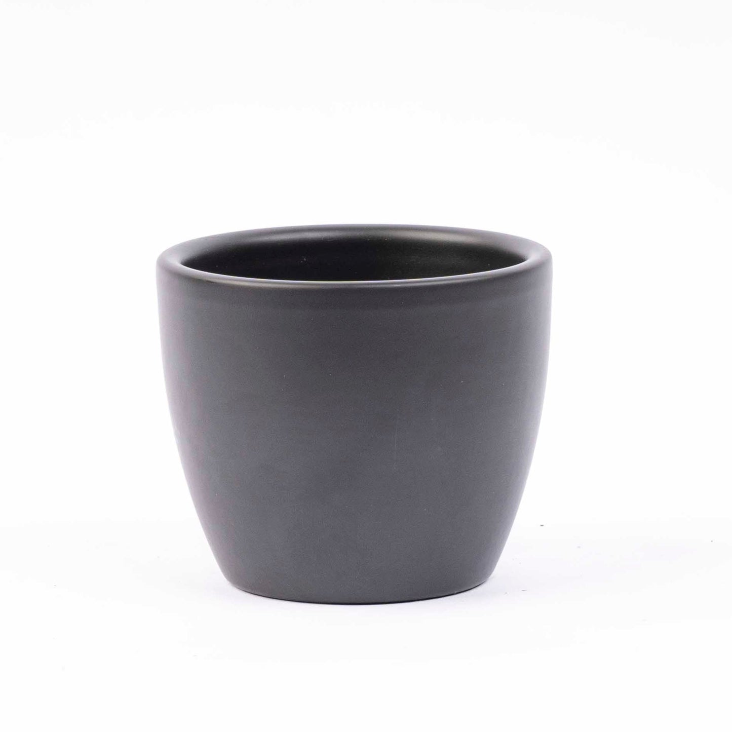 Mini Plant Set 12 - Includes 12X Boule Anthracite Pot