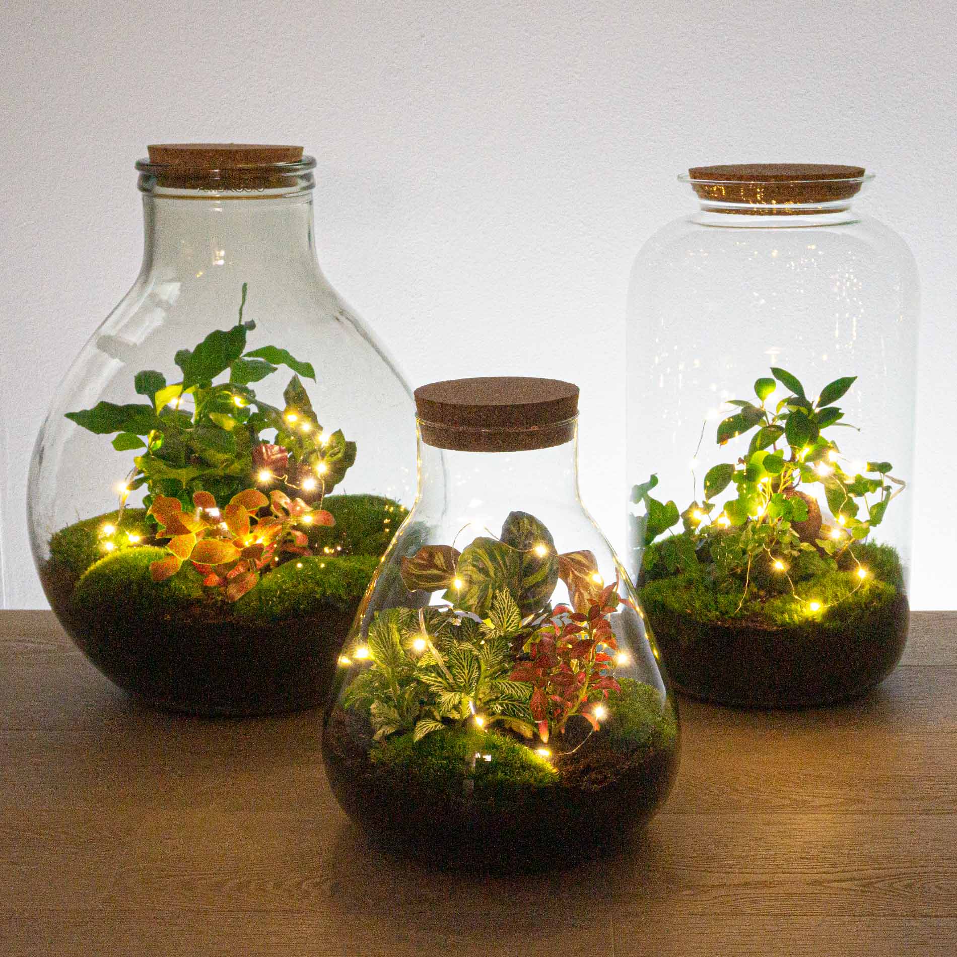 Battery-Operated String Lights - 1 Meter - Warm White - 20 Led Lights