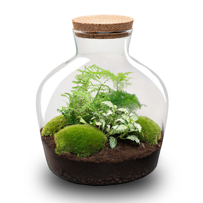 Terrarium Diy Kit - Fat Joe Green - Bottle Garden - ↑ 30 Cm