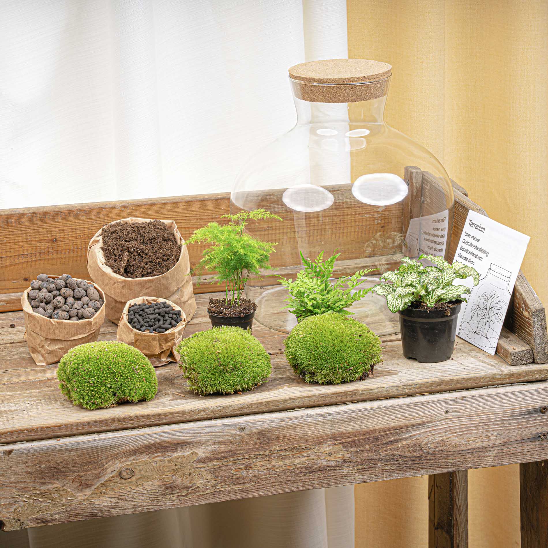 Terrarium Diy Kit - Fat Joe Green - Bottle Garden - ↑ 30 Cm