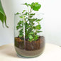 Vase Martin - Diy Kit - ↑ 17 Cm