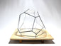 Geometric Terrarium - Torno - Vivarium - ↑ 28 X 26 X 24 Cm (Lxwxh) - Glass