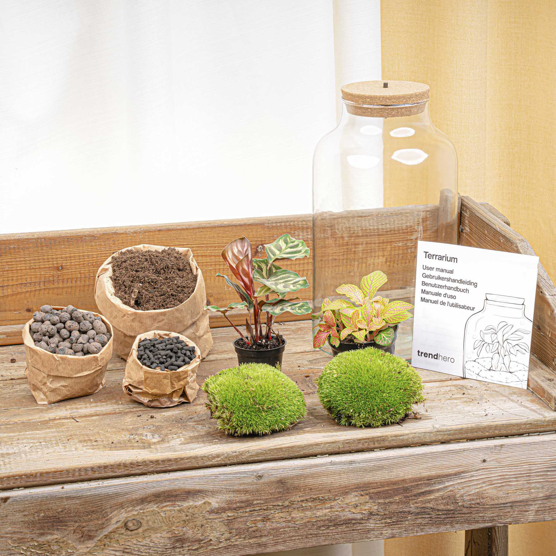 Terrarium Diy Kit - Milky Calathea With Light - Bottle Garden - ↑ 31 Cm