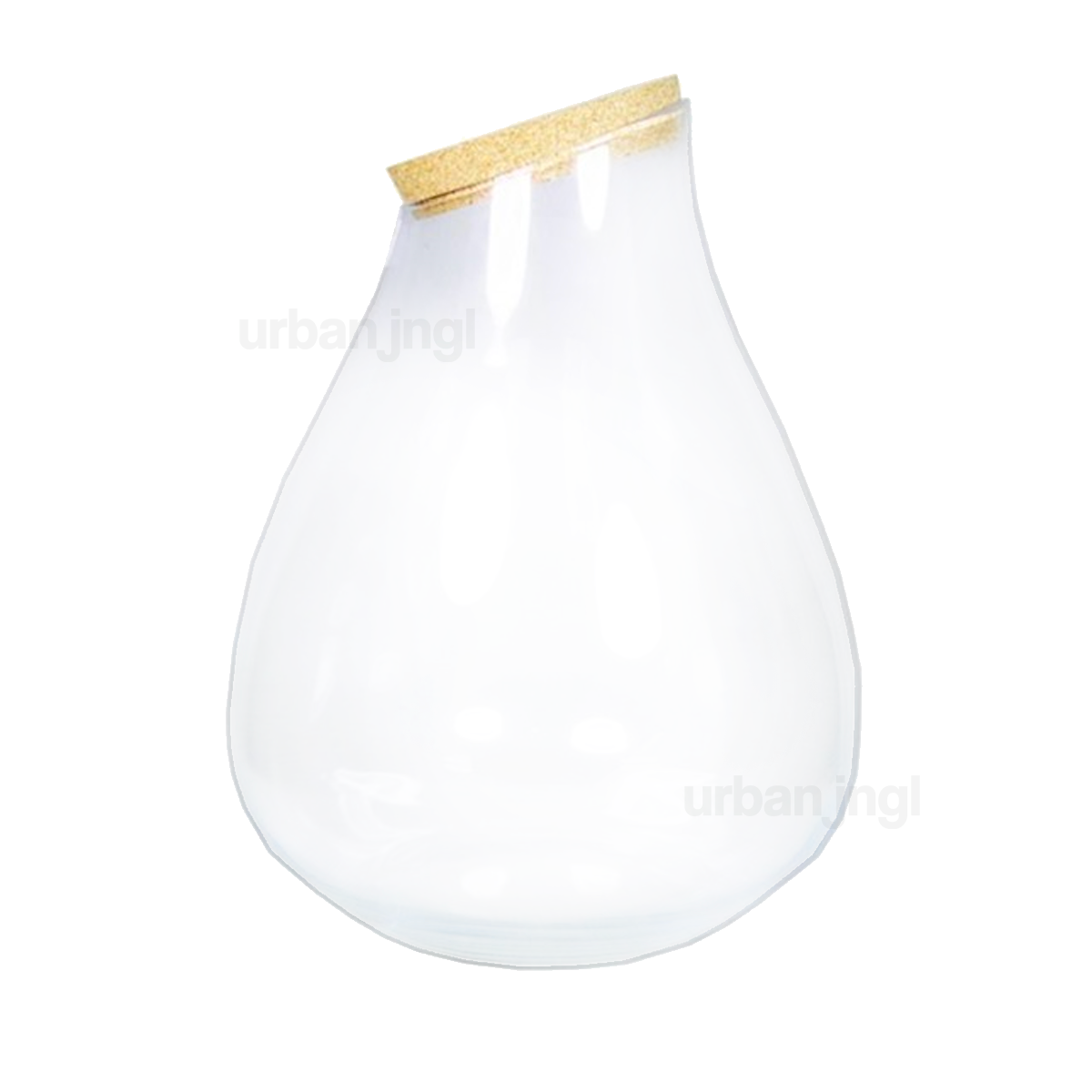 Terrarium With Cork - Drop Xxl - Closed Terrarium Bottle ↑ 43 Cm