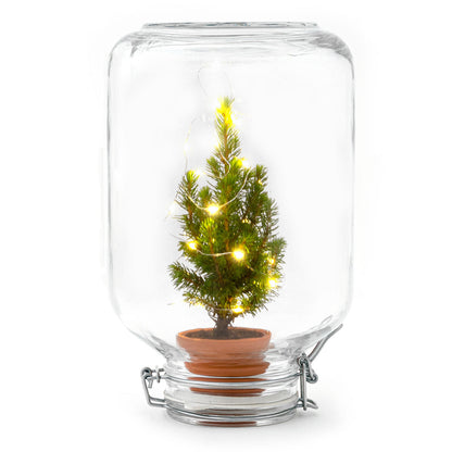 Easyplant - Mini Christmas Tree - Diy Terrarium Kit - ↑ 28 Cm