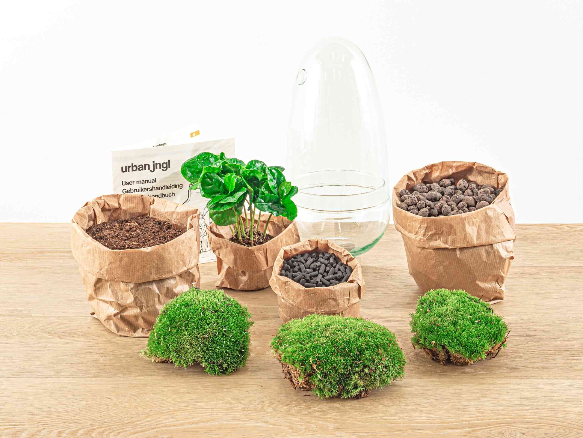 Terrarium Diy Kit - Bottle Garden - ↑ 25 Cm