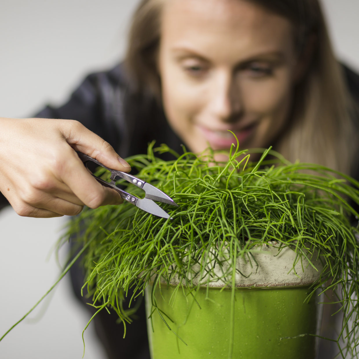 Stainless Steel Mini Pruner - ↑ 10,5 Cm