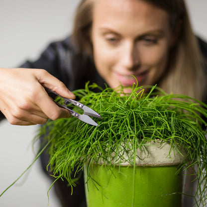 Stainless Steel Mini Pruner - ↑ 10,5 Cm