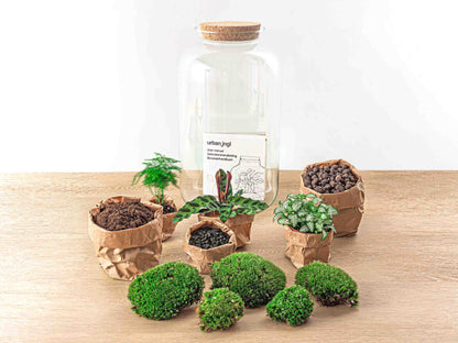 Terrarium Diy Kit - Botanical Sven Xl + Light - Bottle Garden - ↑ 43 Cm
