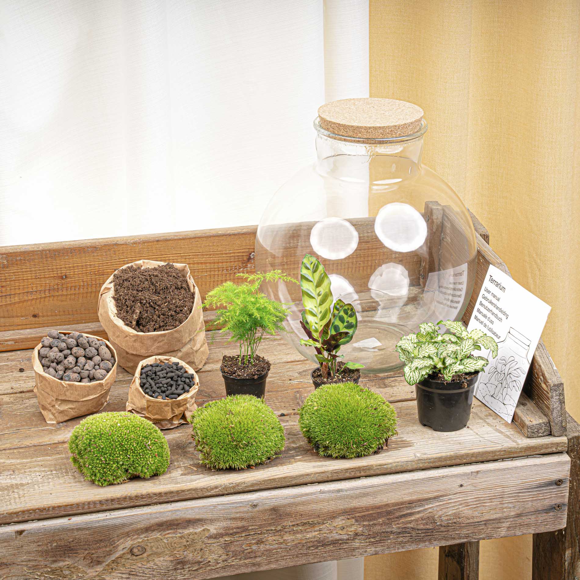 Terrarium Diy Kit - Bolder Bob - Bottle Garden - ↑ 30 Cm
