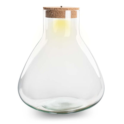 Terrarium With Cork - Sam Xl With Led Cork - ↑ 35 Cm