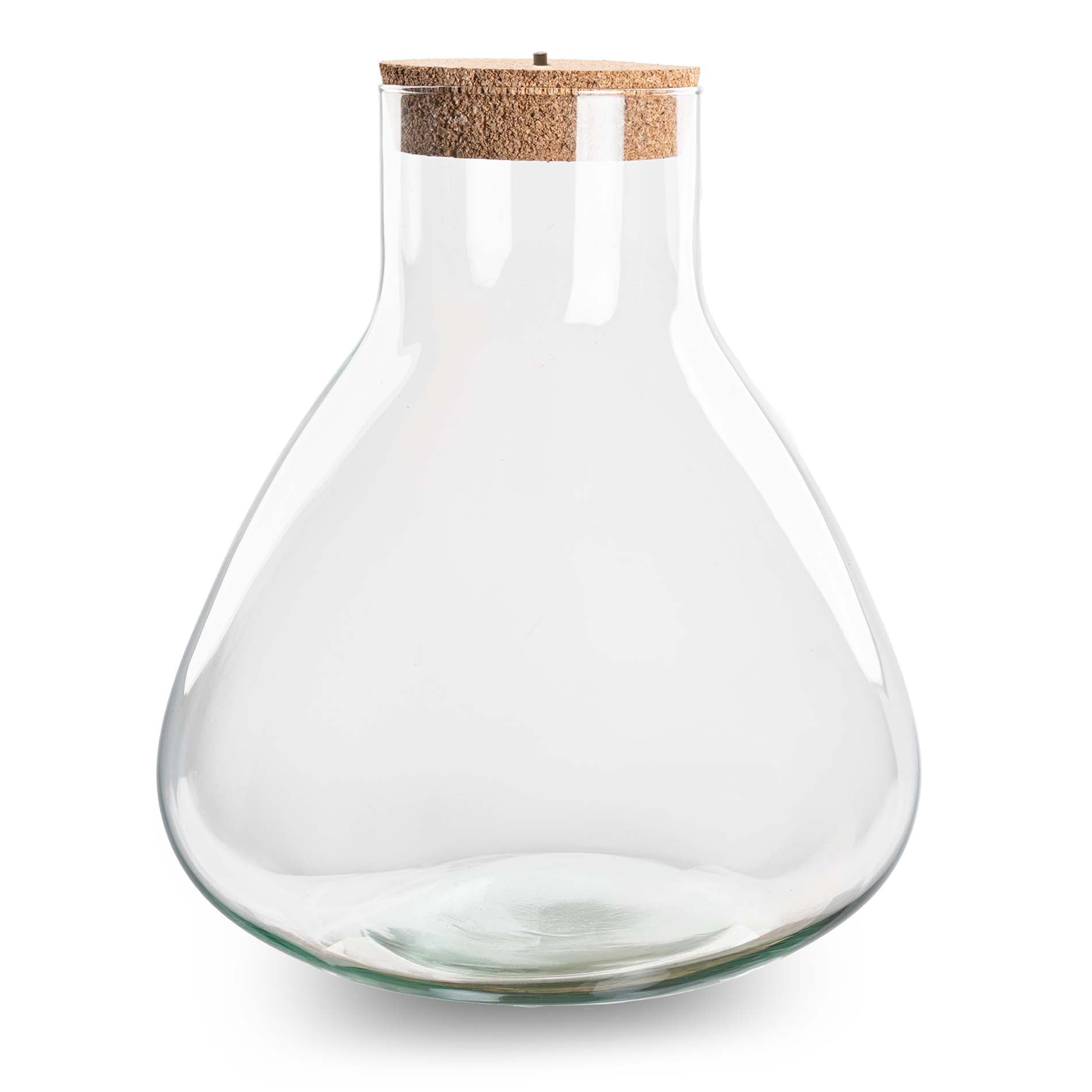 Terrarium With Cork - Sam Xl With Led Cork - ↑ 35 Cm