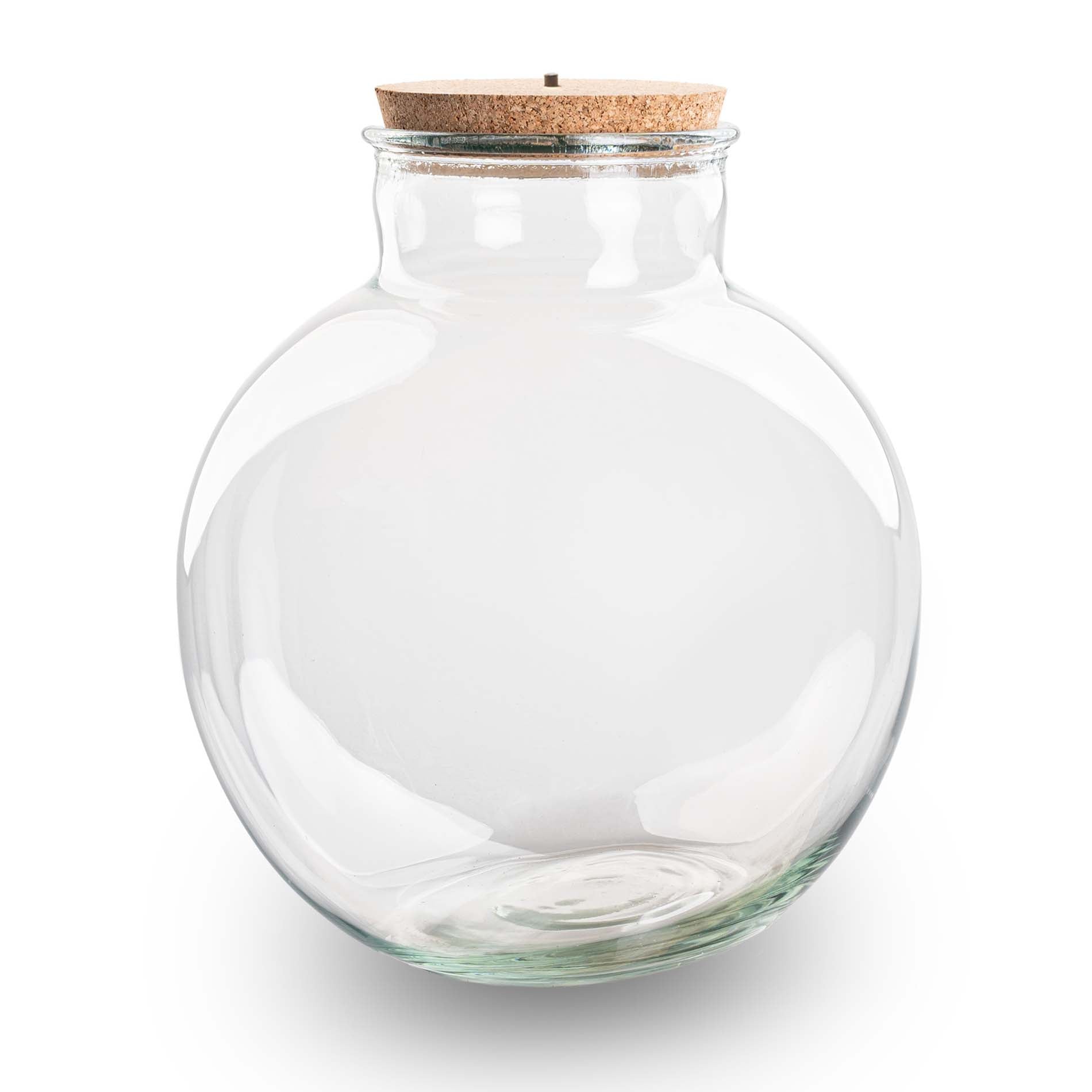 Terrarium Bottle With Light In Cork - Bolder Bob -  ↑ 30 Cm
