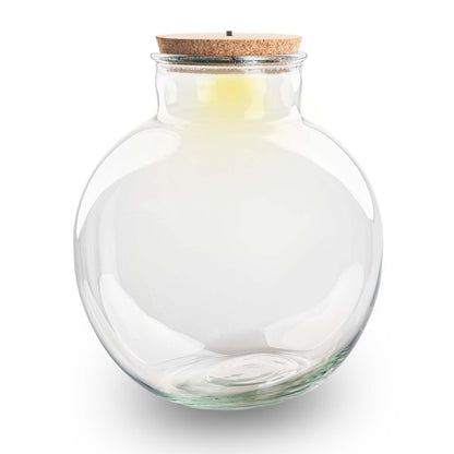 Terrarium Bottle With Light In Cork - Bolder Bob -  ↑ 30 Cm
