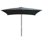 Parasol Met Houten Paal 200X300 Cm