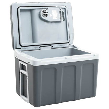 Koelbox Thermo-Elektrisch Draagbaar 12 V 230 V E