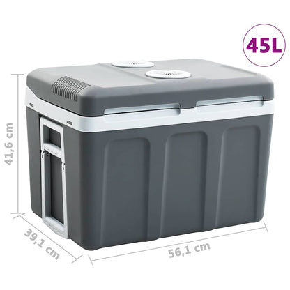 Koelbox Thermo-Elektrisch Draagbaar 12 V 230 V E