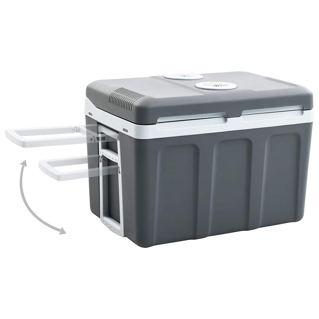 Koelbox Thermo-Elektrisch Draagbaar 12 V 230 V E