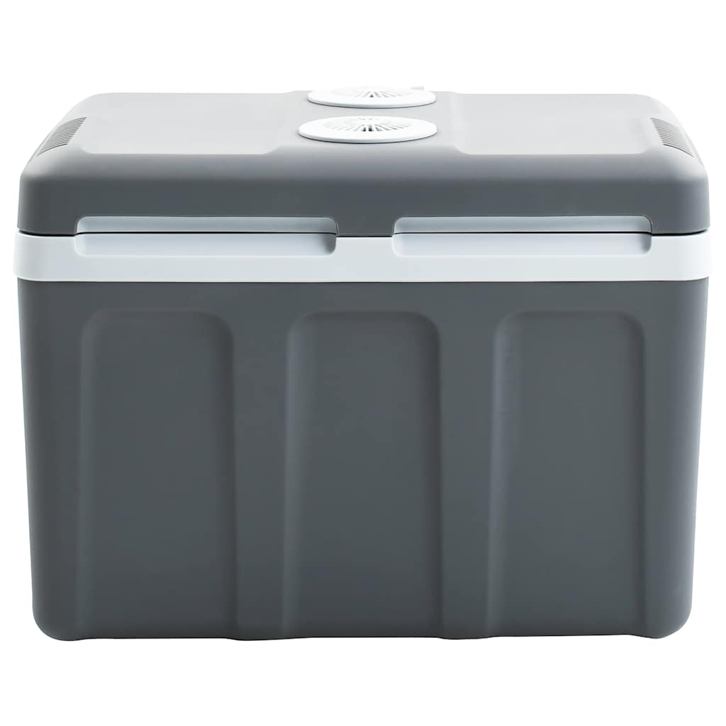 Koelbox Thermo-Elektrisch Draagbaar 12 V 230 V E