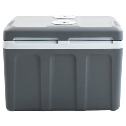 Koelbox Thermo-Elektrisch Draagbaar 12 V 230 V E