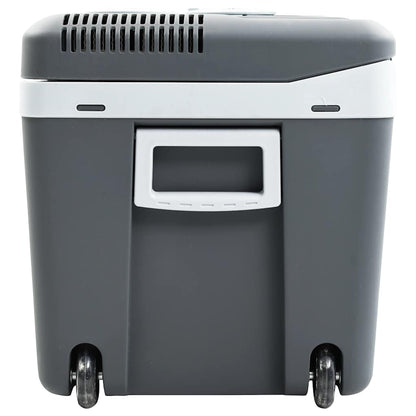 Koelbox Thermo-Elektrisch Draagbaar 12 V 230 V E