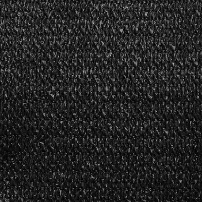 Zonnezeil 160 G/M² Driehoekig Hdpe Zwart