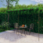 Tuinpergola 3X3X2,5 M Ijzer Antiekbruin