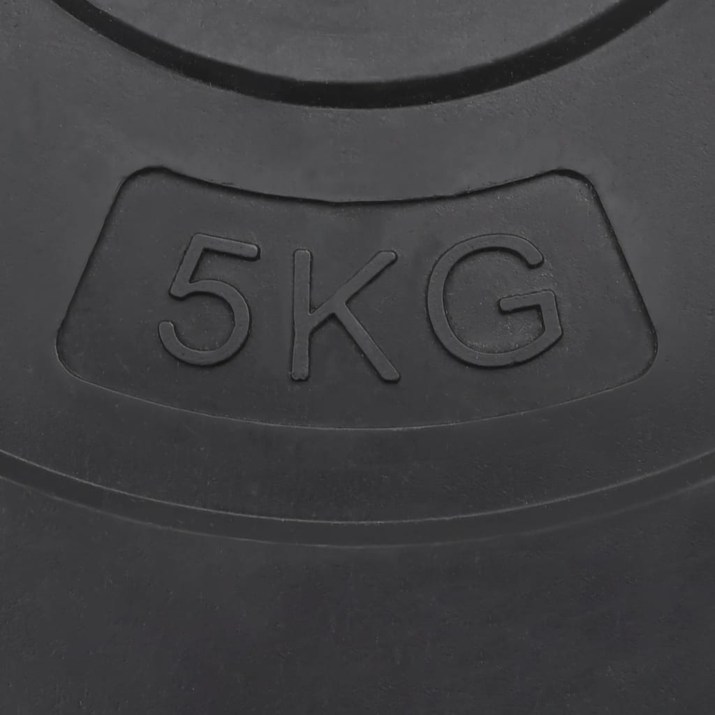 Halterschijven 4 St 30 Kg Beton
