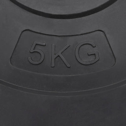 Halterschijven 4 St 30 Kg Beton
