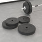 Halterschijven 4 St 30 Kg Beton