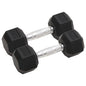 Halters 2 St 30 Kg Totaal Gietijzer