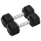 Halters 2 St 30 Kg Totaal Gietijzer