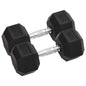 Halters 2 St 30 Kg Totaal Gietijzer