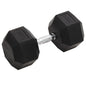 Halters 2 St 30 Kg Totaal Gietijzer