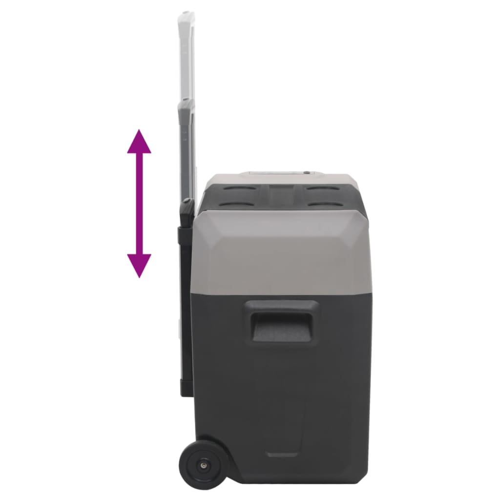 Koelbox Met Wielen En Handvat Polypropeen Zwart En Grijs