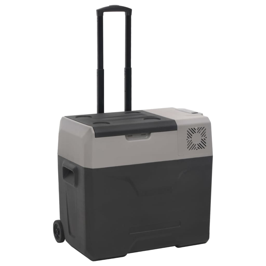 Koelbox Met Wielen En Adapter Polypropeen Zwart En Grijs