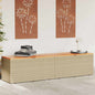 Tuinbox Poly Rattan En Acaciahout