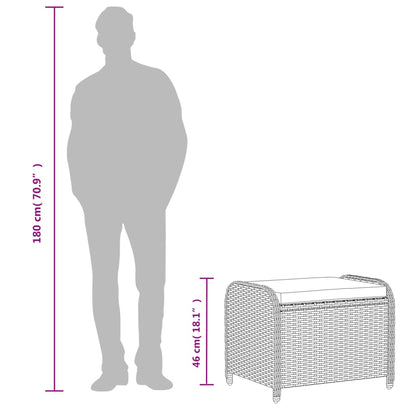 Tuinkruk Met Kussen 58X46X46 Cm Poly Rattan