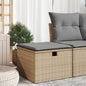 Tuinkruk Met Kussen 55X55X37 Cm Poly Rattan