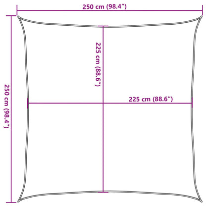 Zonnezeil 160 G/M² Vierkant 2,5X2,5 M Hdpe Kleurig Zand