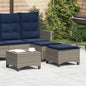 Tuinkrukken Met Kussens 2 St 55X55X36 Cm Poly Rattan